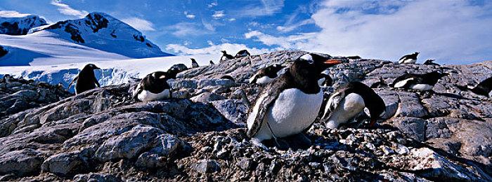 《森林之子 》进不去游戏、卡顿？一招教你解决！