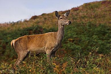 无论哪里都能享受舞蹈练习 《ZUMBA® Burn It Up！ 新价格版》 介绍精选推荐乐曲！